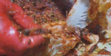 [명월초 당뇨초] 명월초요리 명월초김치담구기